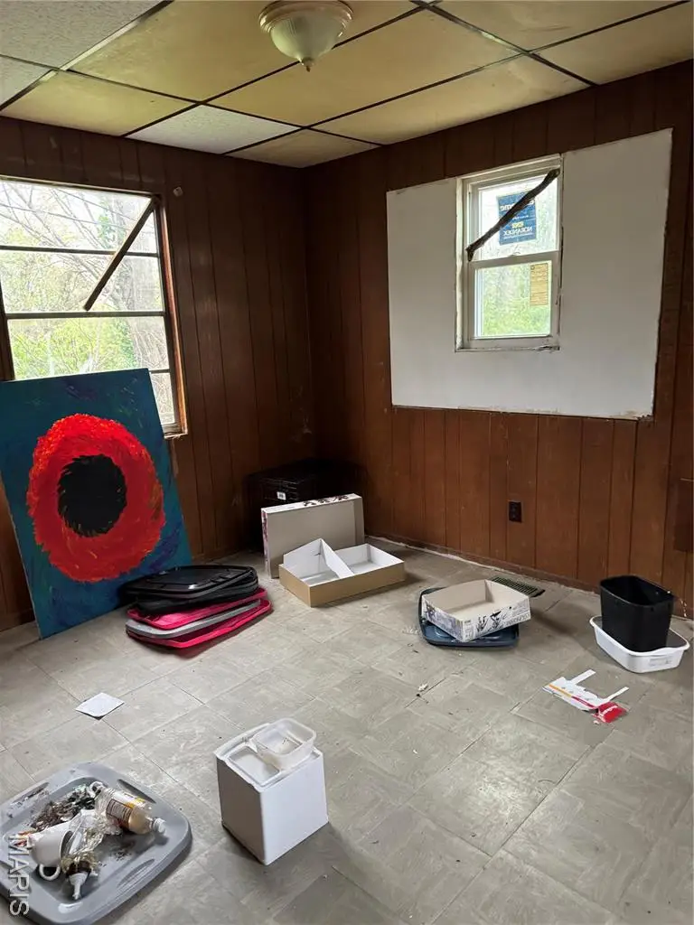 5119 Terry Avenue, Saint Louis, MO 63115 - Image #3