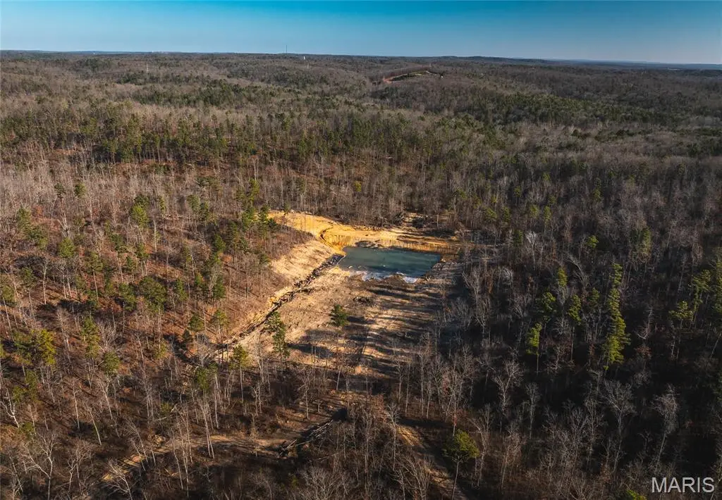 0 Delbridge Road, Potosi, MO 63664 - Image #1