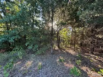 7 Appaloosa Trail, Monroe City, MO 63456 - Image #1