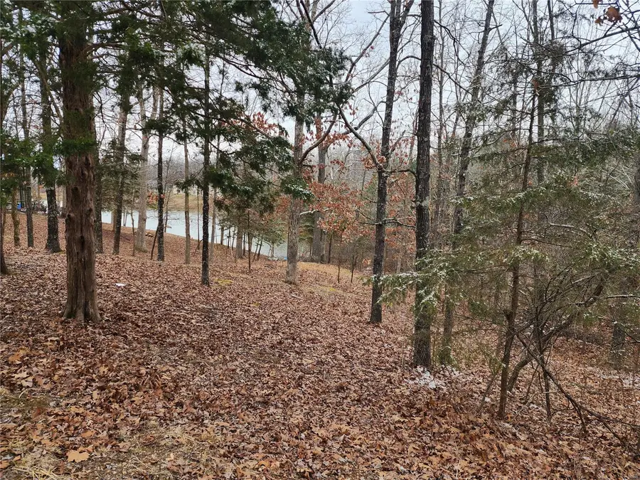 0 Bourbon Drive, Bonne Terre, MO 63628 - Image #2