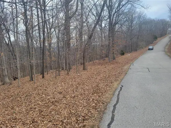 437 Big River Vw, Eureka, MO 63025