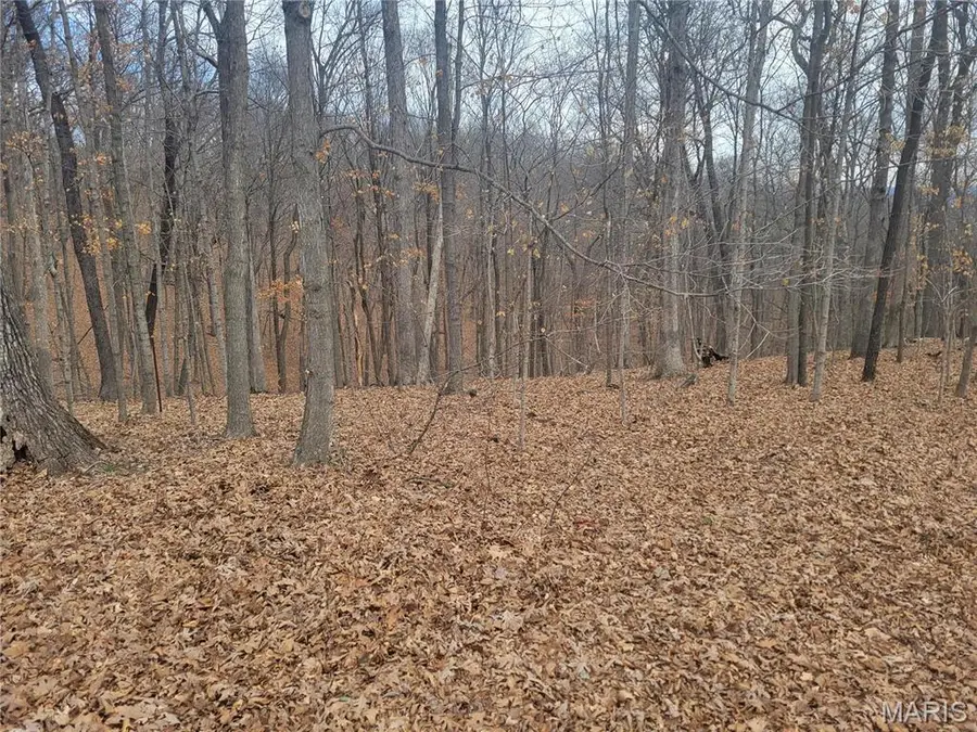 437 Big River Vw, Eureka, MO 63025 - Image #2