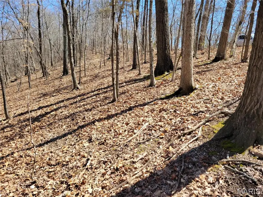 437 Big River Vw, Eureka, MO 63025 - Image #3