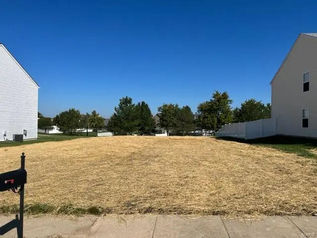 244 River Laurel Drive, Belleville, IL 62220 - Image #2