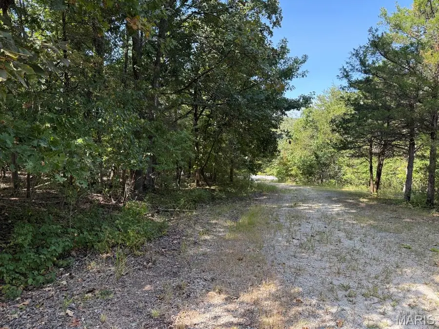 109 Lakeshore Drive, De Soto, MO 63020 - Image #3