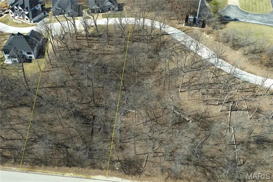 220 Ella Rose Lane, Saint Charles, MO 63304 - Image #2