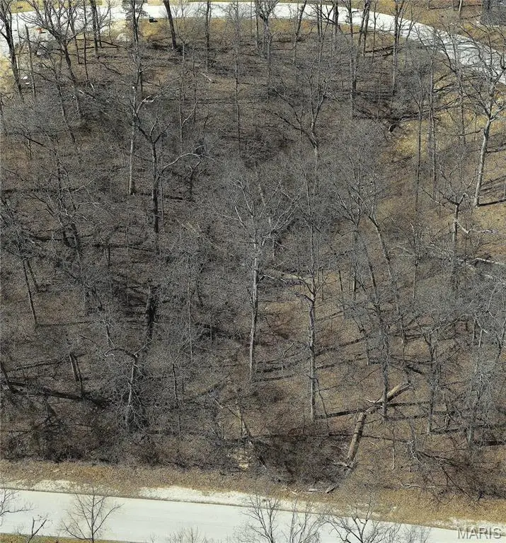 220 Ella Rose Lane, Saint Charles, MO 63304 - Image #3