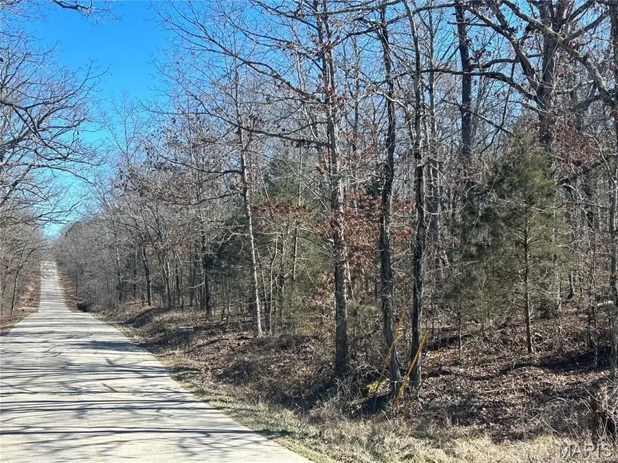 0 So Of Co Rd 421, Poplar Bluff, MO 63901 - Image #3