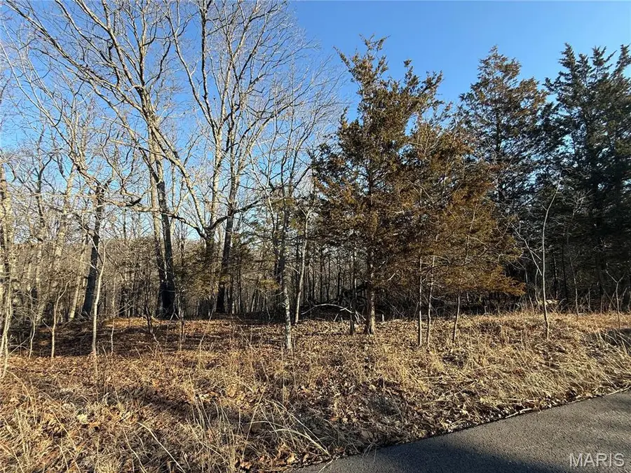 0 Lot 24 Timber Ridge, Pacific, MO 63069 - Image #3