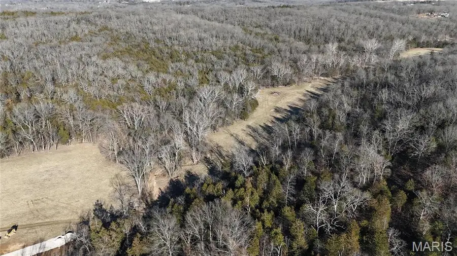 2 Lot Hematite Farms Road, Festus, MO 63028 - Image #2