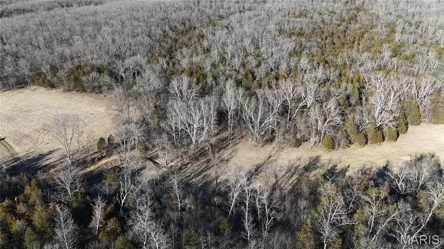 2 Lot Hematite Farms Road, Festus, MO 63028 - Image #3