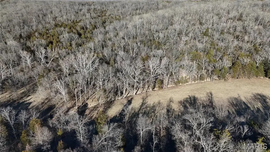 5 Lot Hematite Farms Road, Festus, MO 63028 - Image #2