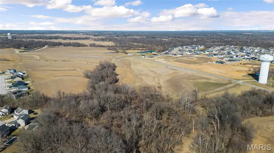 1240 Pausch Road #39.72 ac, Caseyville Township, IL 62269 - Image #2