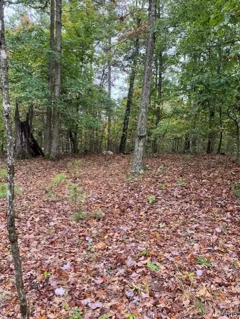 152 Madison Cr 410, Fredericktown, MO 63645 - Image #3