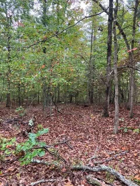 153 Madison Cr 410, Fredericktown, MO 63645 - Image #3