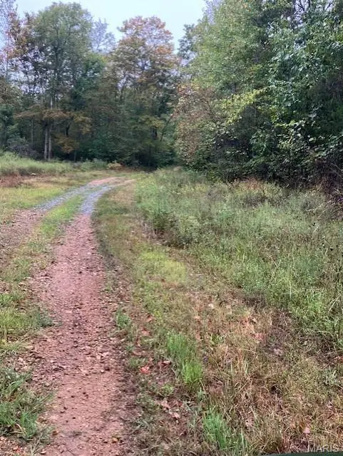 157 Madison Cr 410, Fredericktown, MO 63645 - Image #1