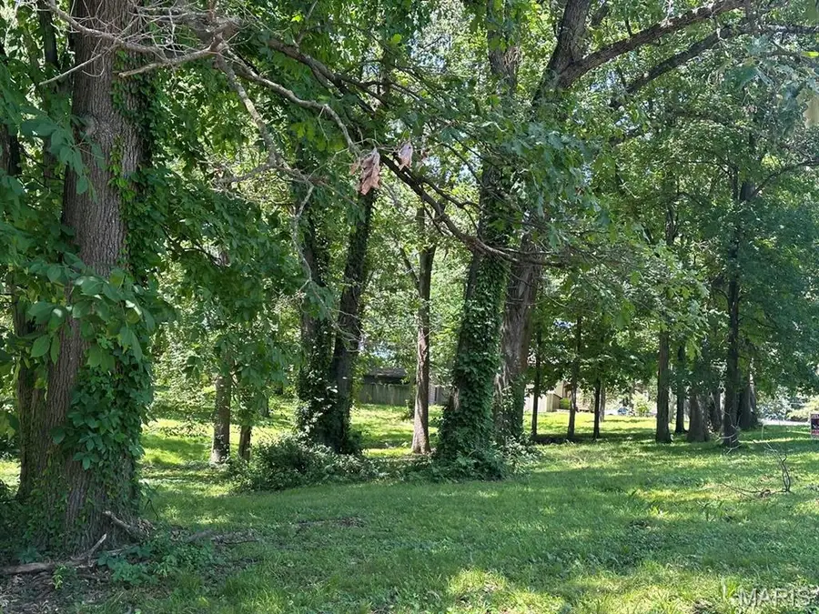 0 Lewis & Albert Street, Dexter, MO 63841 - Image #2