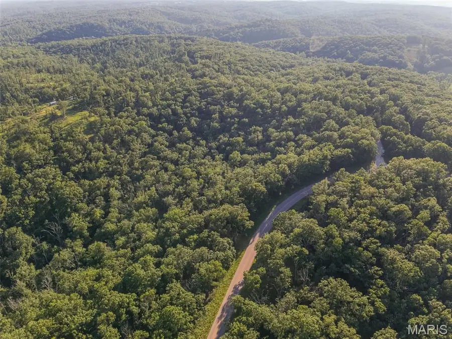0 State Hwy Y, Elk Creek, MO 65793 - #3