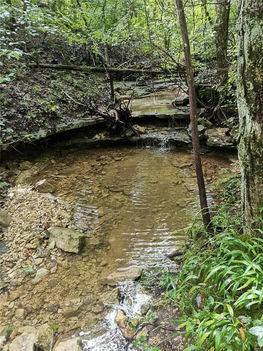 6360 State Road B, Hillsboro, MO 63050 - Image #2