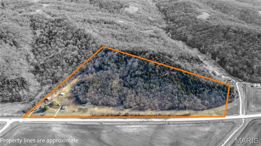 14912 State Hwy 96, Nebo, IL 62355 - Image #1