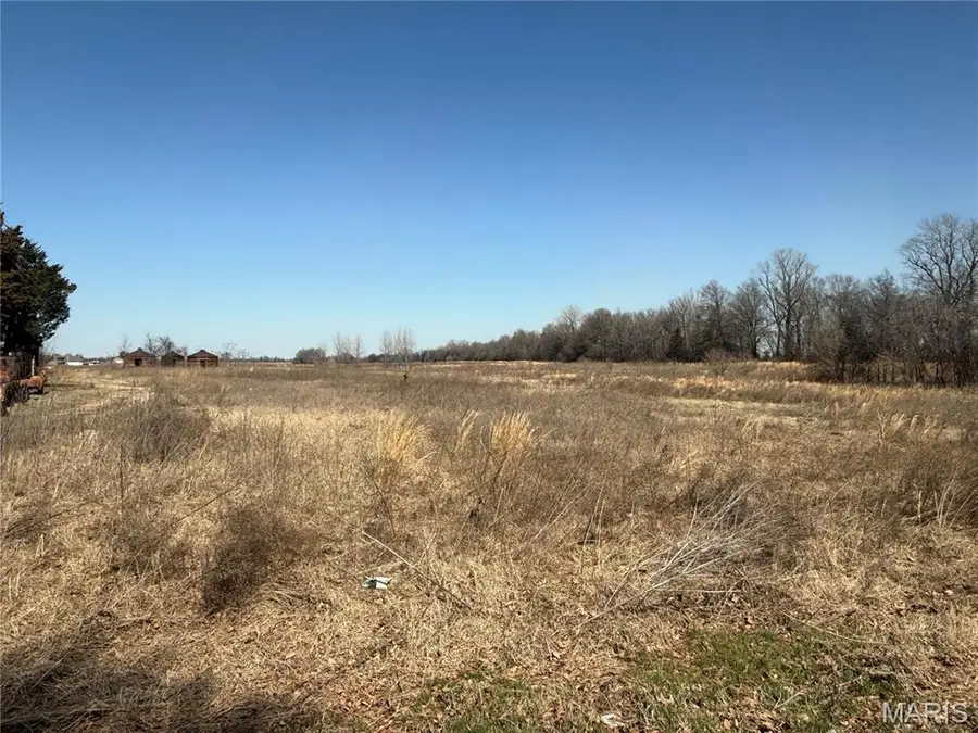 0 County 442 Road, Kennett, MO 63857 - Image #3