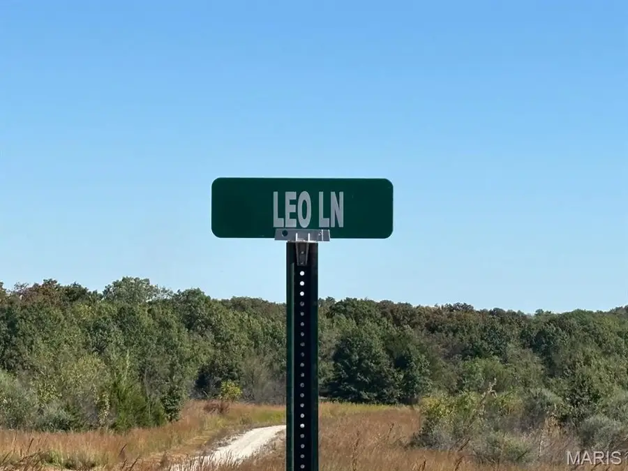 29 Leo Lane, Perry, MO 63462 - Image #2