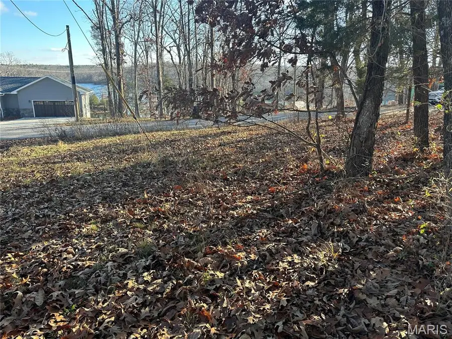 35 Wagon Creek Loop, Creal Springs, IL 62922 - Image #3