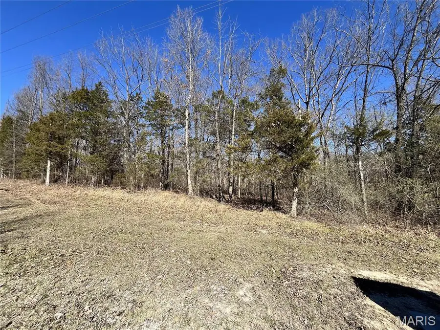 5 Pinnacle Lake Rd, New Florence, MO 63363 - Image #2