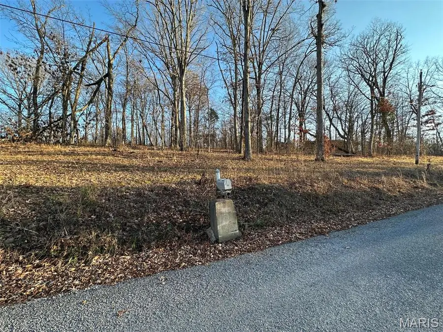 28 Wagon Creek Loop, Creal Springs, IL 62922 - Image #2