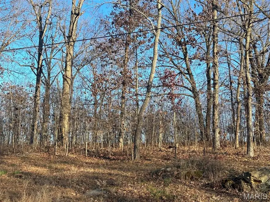 26 Wagon Creek Loop, Creal Springs, IL 62922 - Image #2