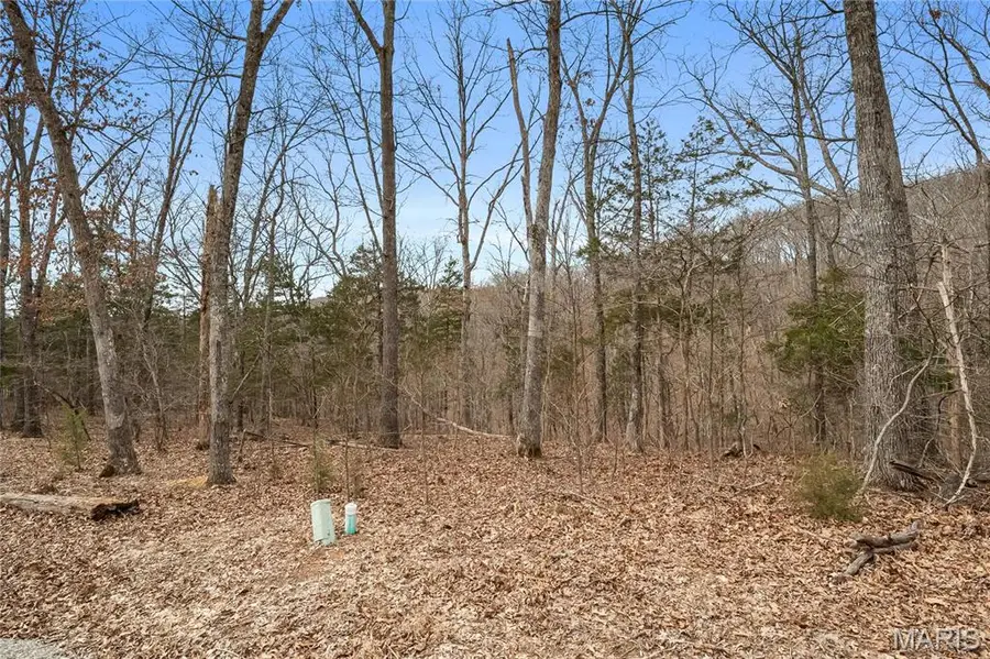 2537 Alpine Woods Drive, Innsbrook, MO 63390 - Image #3