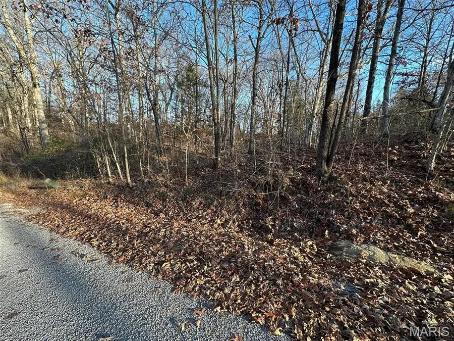 20 Wagon Creek Loop, Creal Springs, IL 62922 - Image #2