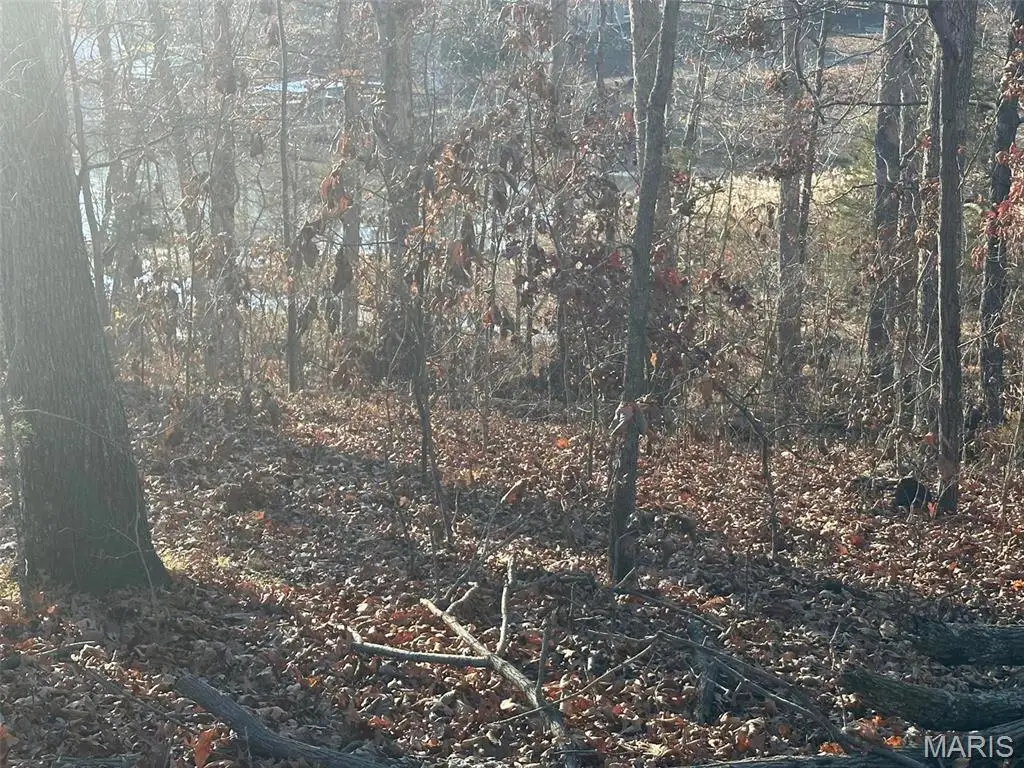 17 Wagon Creek Loop, Creal Springs, IL 62922 - Image #1