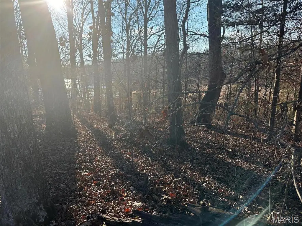 14 Wagon Creek Loop, Creal Springs, IL 62922 - Image #1