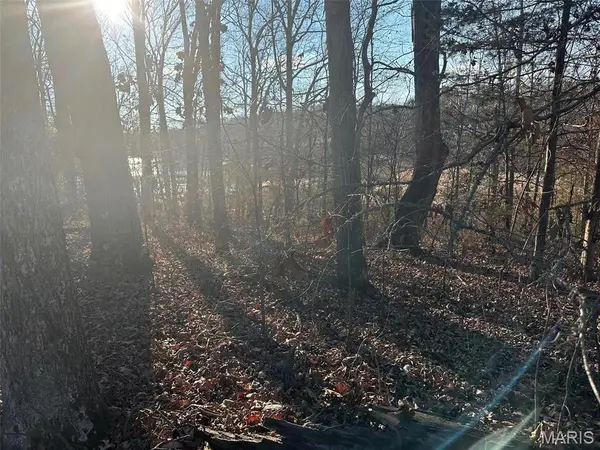 14 Wagon Creek Loop, Creal Springs, IL 62922