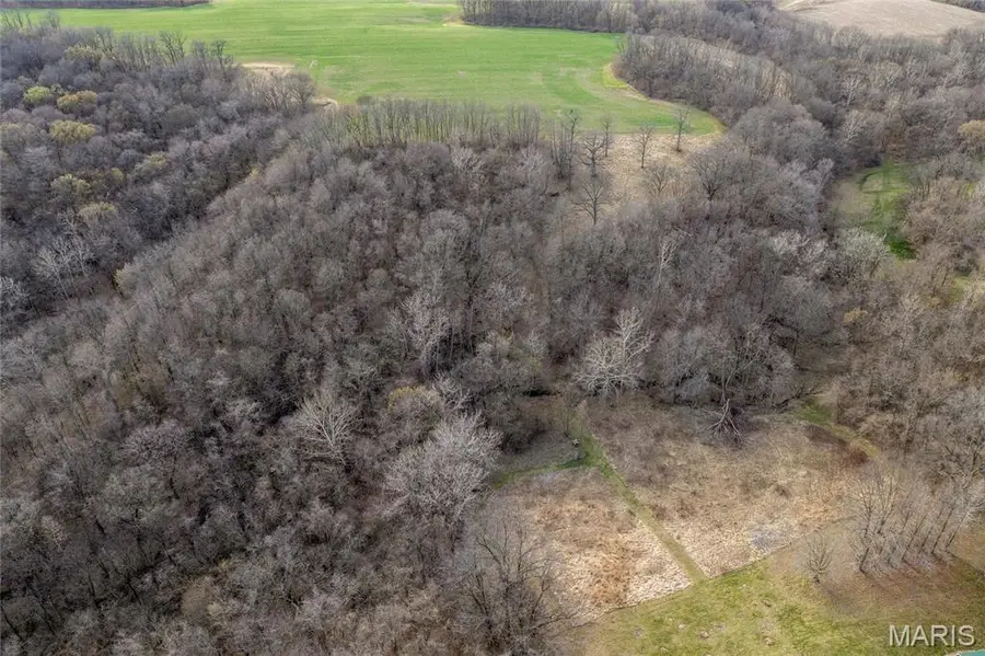 31982 Sheldons Grove Rd, Browning, IL 62624 - Image #3