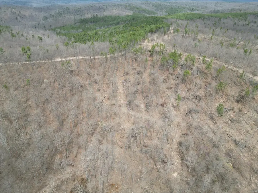 0 Madison Cr 411 (121b) #121b, Fredericktown, MO 63645 - Image #2