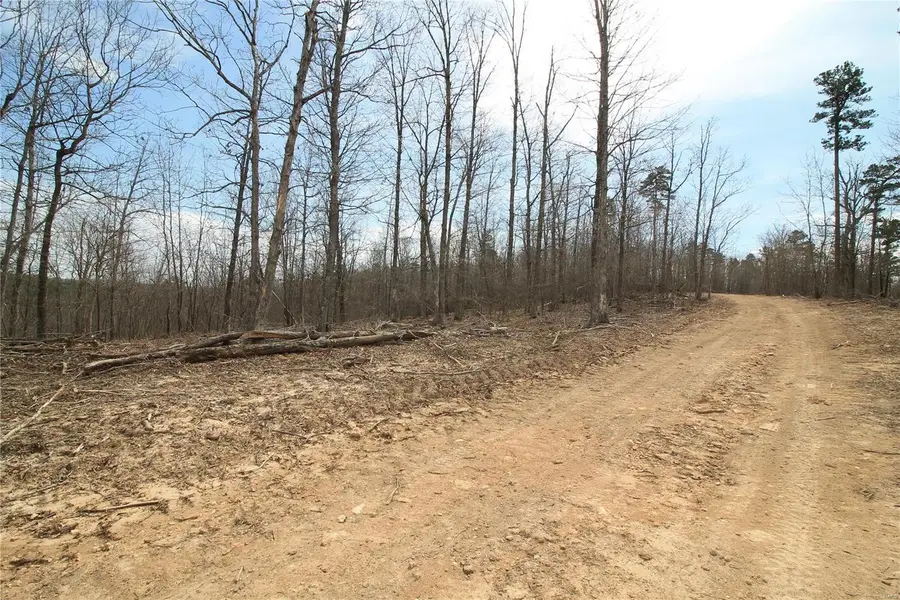 0 Madison Cr 411 (121b) #121b, Fredericktown, MO 63645 - Image #3