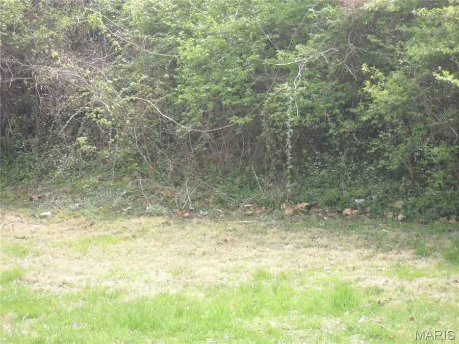 100 S 98th Street, Belleville, IL 62223 - Image #3