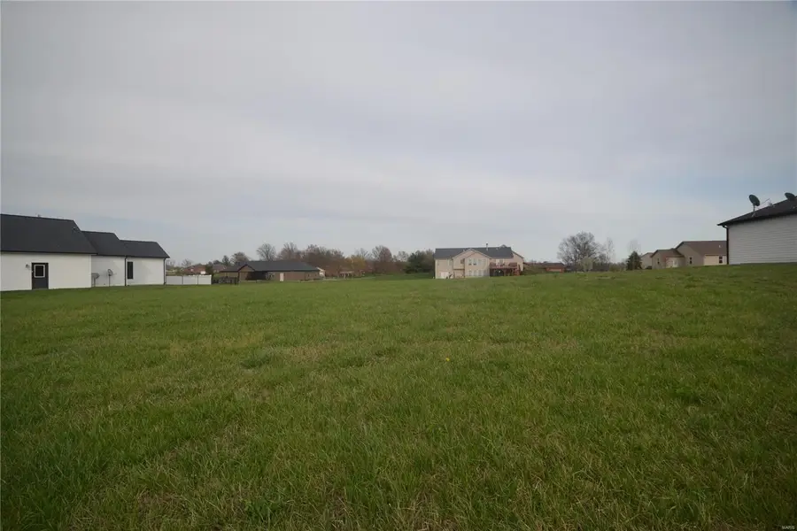 4017 Autumn Oak Drive, Smithton, IL 62285 - Image #3