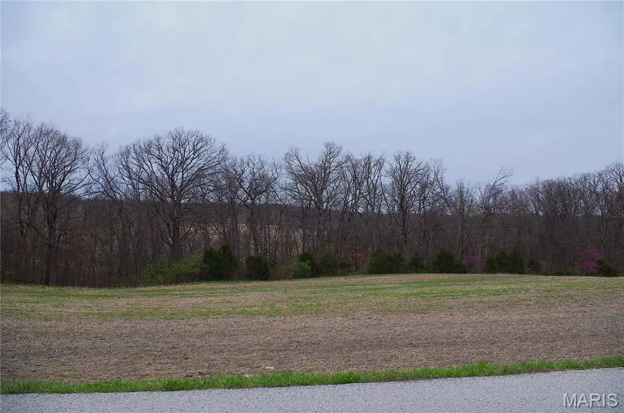 0 Quarry Road, Silex, MO 63377 - Image #2