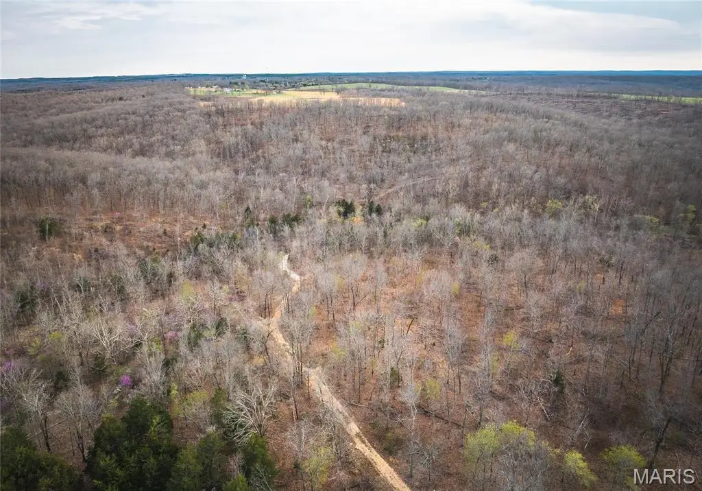 0 Ray Hicks Road, Viburnum, MO 65566 - Image #1