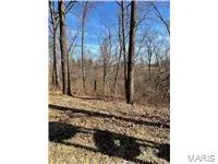 0 Hwy 79, Louisiana, MO 63353