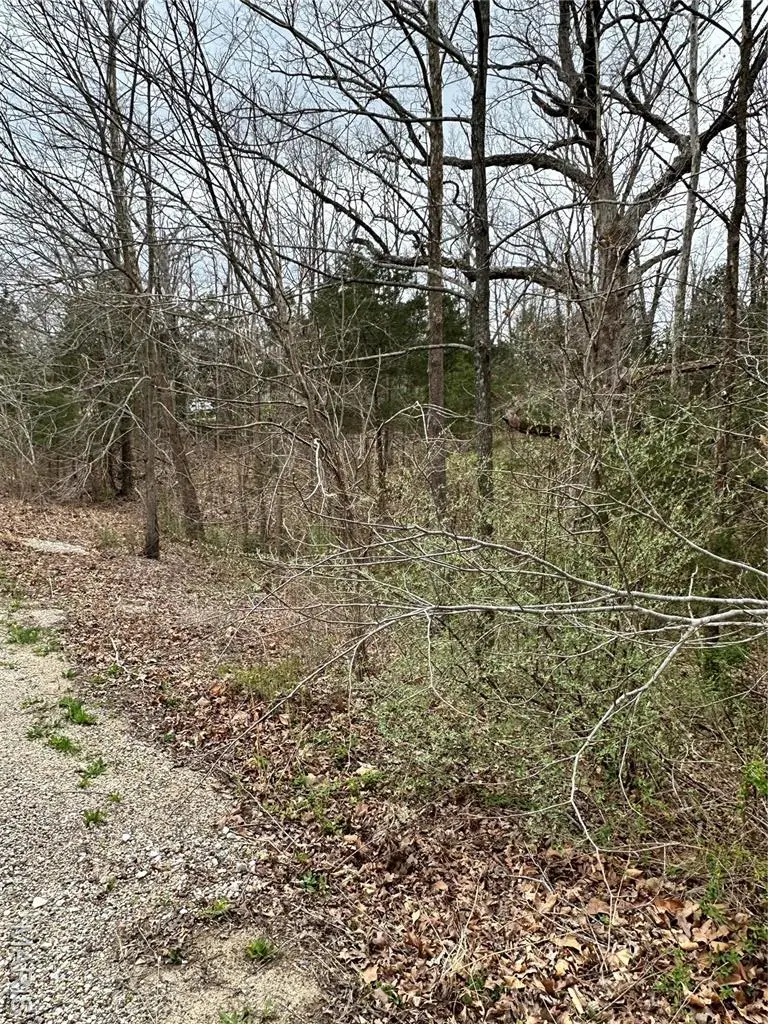 2023 Lakeshore Drive, Cuba, MO 65453 - Image #1