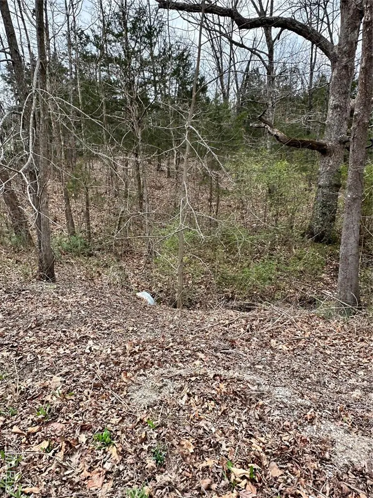 2023 Lakeshore Drive, Cuba, MO 65453 - Image #2