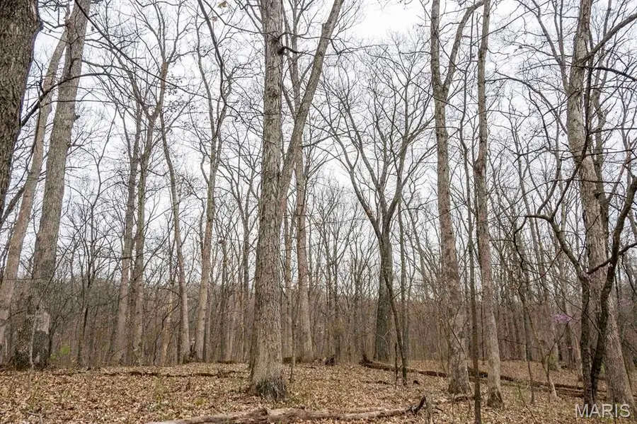 0 Pike 224, Eolia, MO 63344 - Image #3