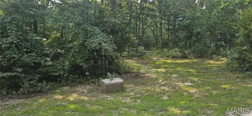 43 Cr 3273, Norman, MO 65560 - Image #1