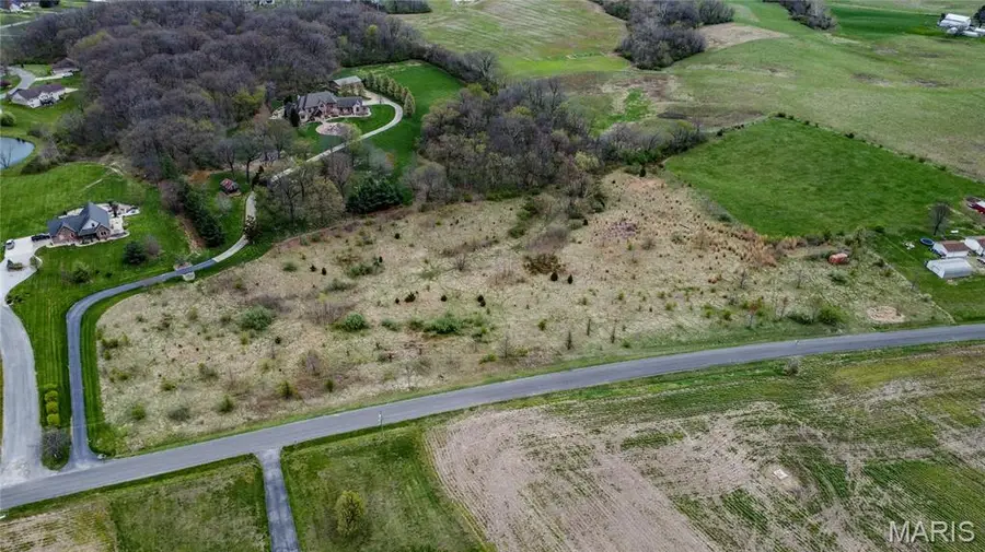 0 Lageman Lane, Brighton, IL 62012 - Image #3