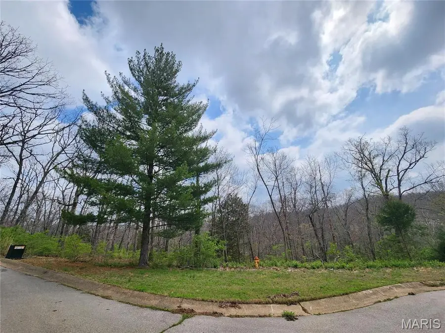 0 Oakbrook, Owensville, MO 65066 - Image #3