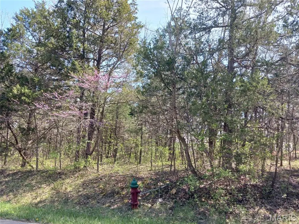 0 S Lafitte Drive, Bonne Terre, MO 63628 - Image #1